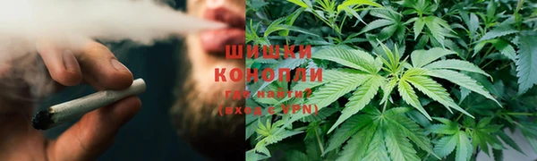 гидропоника Заводоуковск
